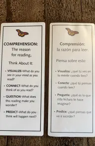 Brainy Acts Literacy Blooms Science of Reading Learning Guides