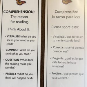 Brainy Acts Literacy Blooms Science of Reading Learning Guides